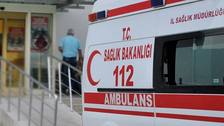 Bolu'da Minibüsün Çarptığı Geyik Telef Oldu