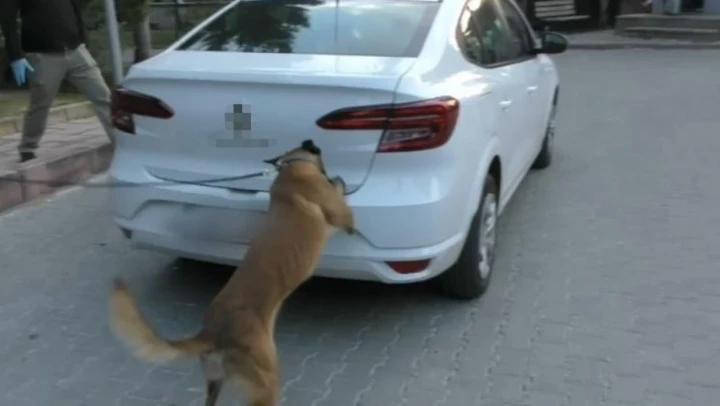 Bolu'da Zehir Tacirlerine Geçit Yok: 12 Gözaltı