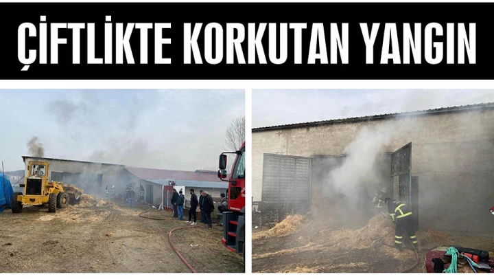 ÇİFTLİKTE KORKUTAN YANGIN