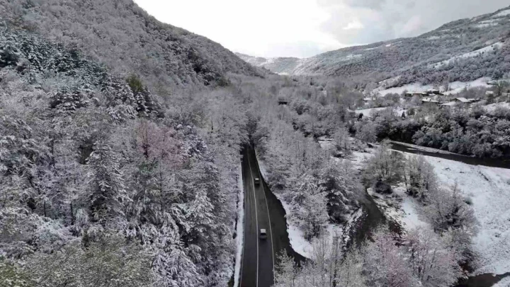 'Ağaç Tünelli Yol', Kar Manzaralarıyla Mest Etti
