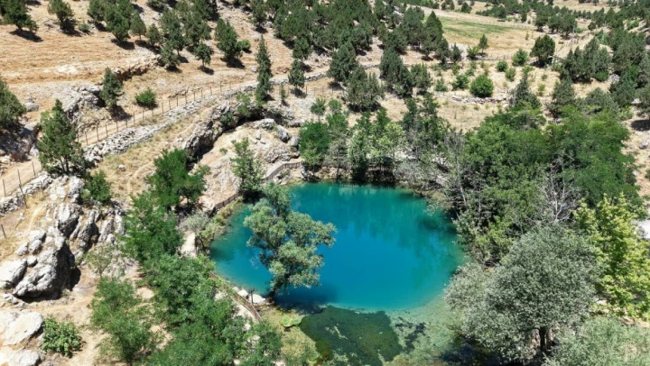 Doğal Güzellik: 'Yeşilgöz'