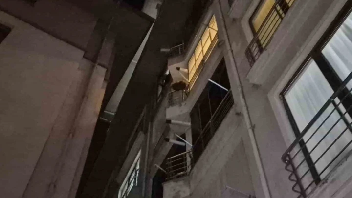 O Kavga Mahalleyi Ayağa Kaldırdı