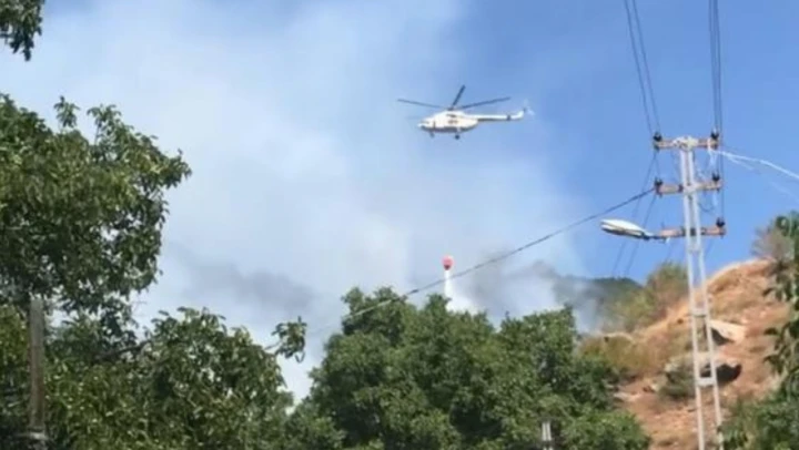 Ilgaz'da yine orman yangını!