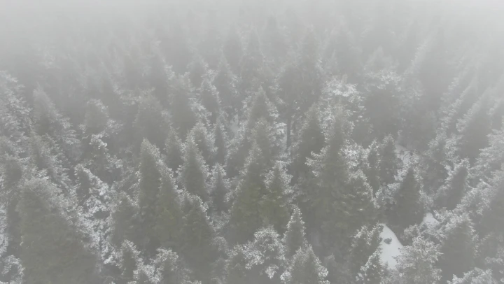 Ilgaz Dağı'nda kar yağışı