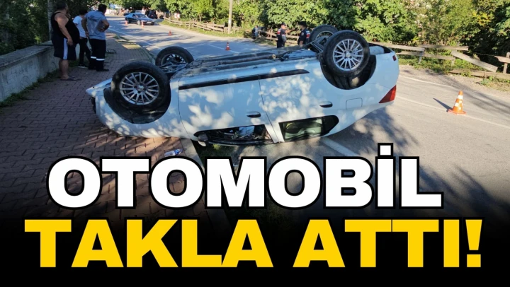 Kaldırıma Çarpan Otomobil Takla Attı!