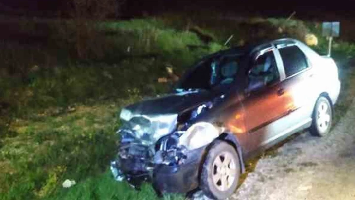 Kastamonu'da kaza, domuz sürüsüne daldı