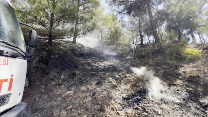 Kastamonu'da orman yangını