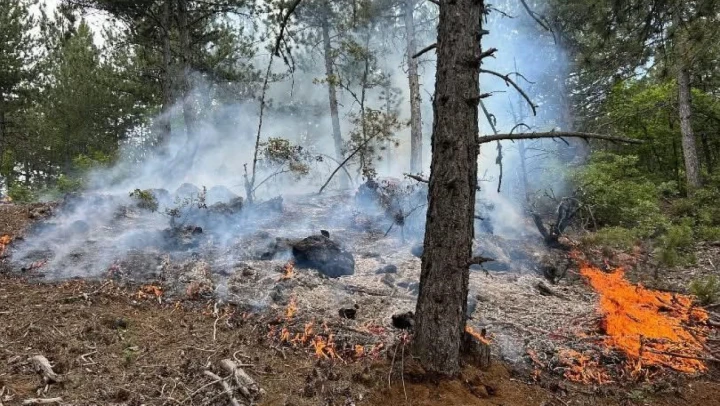 Kastamonu'da Orman Yangını