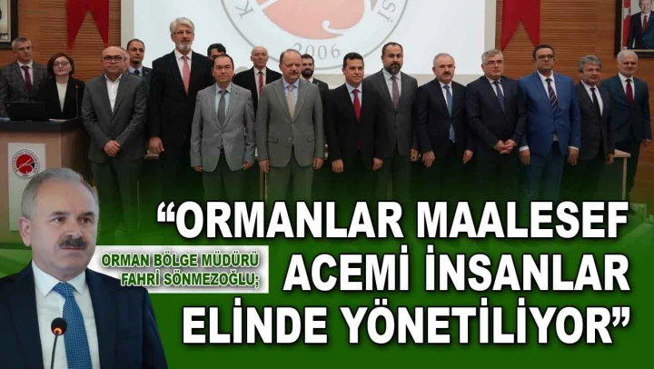 Orman Bölge Müdürü Sönmezoğlu: 'Ormanlar Maalesef Acemi İnsanlar Elinde Yönetiliyor'