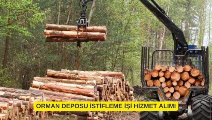ORMAN DEPOSU İSTİFLEME İŞİ HİZMET ALIMI