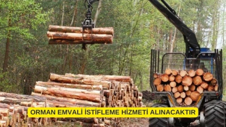ORMAN EMVALİ İSTİFLEME HİZMETİ ALINACAKTIR