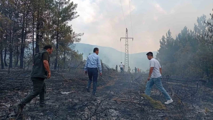 Ormanlık Alandaki Örtü Yangını Kontrol Altına Alındı