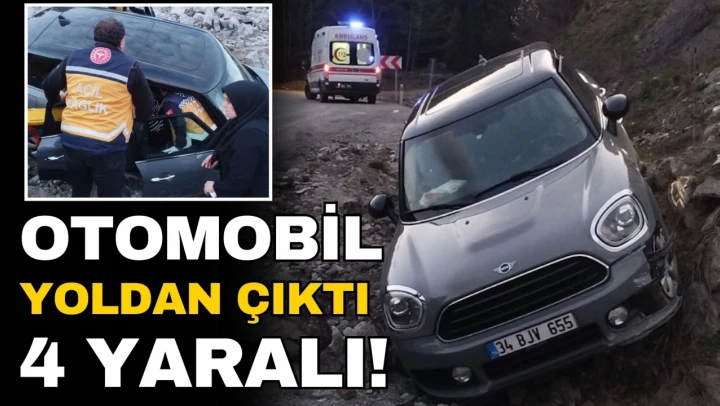 Otomobil Yoldan Çıktı: 4 Yaralı