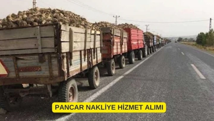 PANCAR NAKLİYE HİZMET ALIMI