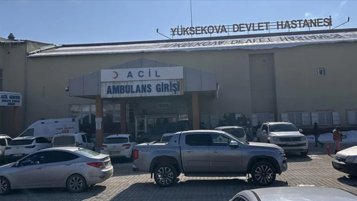 Sahipsiz Köpeklerin Saldırısına Uğrayan Çocuk Hayatını Kaybetti