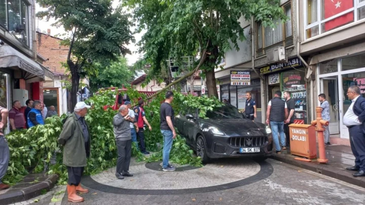 Şiddetli rüzgar ağacı aracın üzerine devirdi