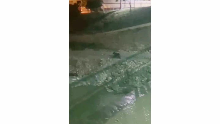 Sinop'ta ayılardan turistik gezi