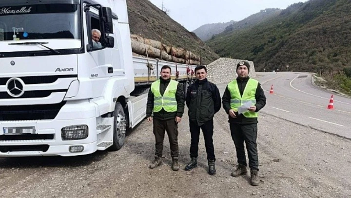 Sinop'ta Orman Kaçakçılığına Karşı Denetim