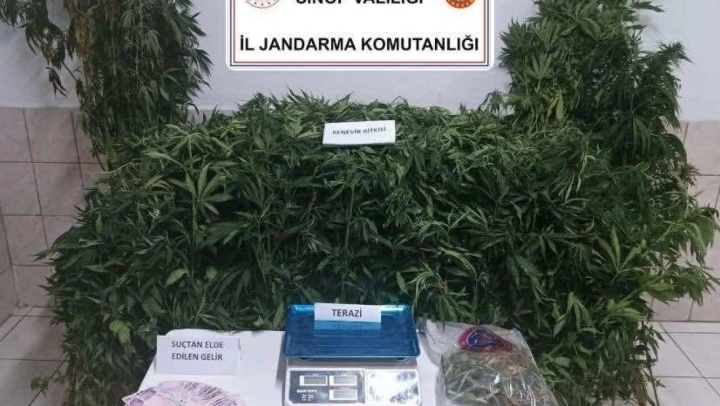Sinop'ta Uyuşturucu Operasyonu: 1 Tutuklama