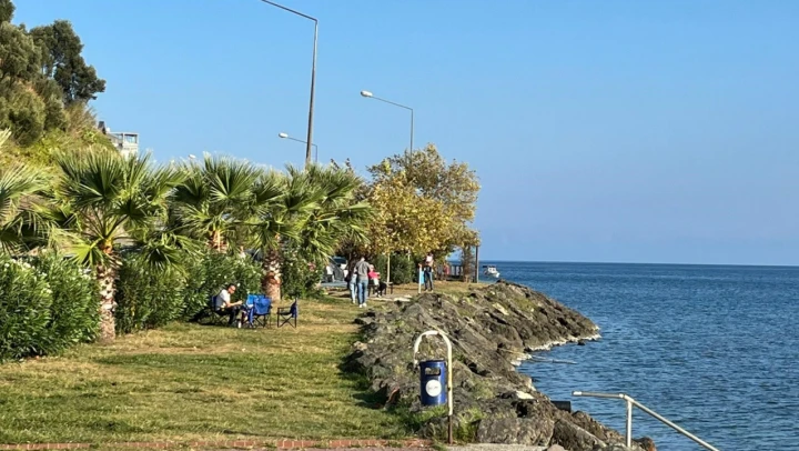 Sinop'un ağustos ayı ihracatı  3 milyon 217 bin dolar olarak gerçekleşti