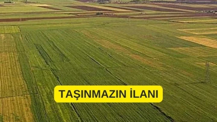 TAŞINMAZIN İLANI