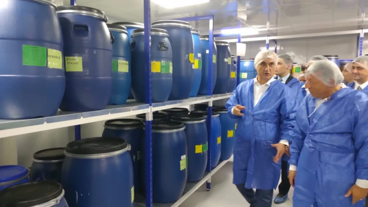 Tosya'da hasat şenliği düzenlendi