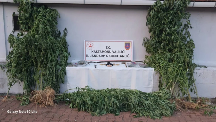Uyuşturucu operasyonu: 4 gözaltı