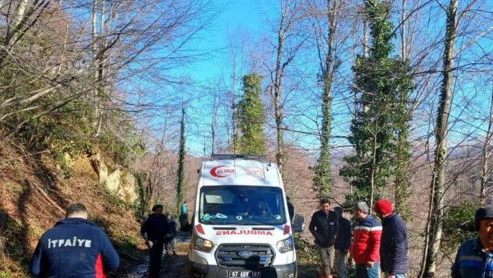 Üzerine Tomruk Devrilen İşçi Yaralandı