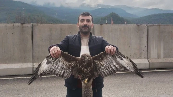 Yaralı Şahin Jandarmaya Teslim Edildi