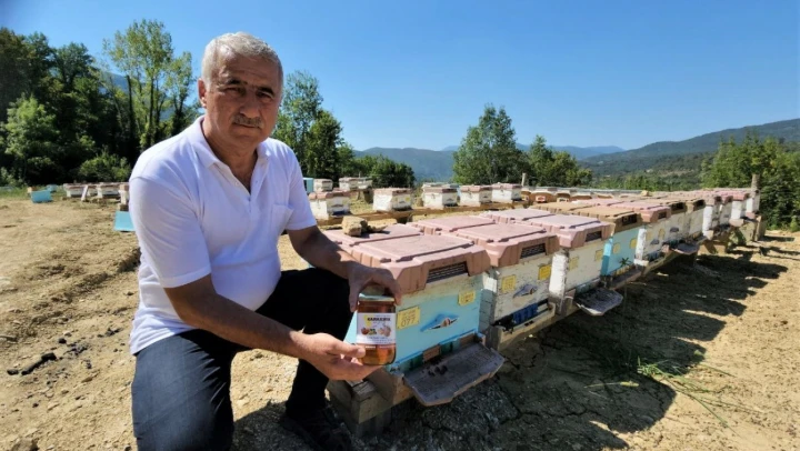 Yenice Ihlamur Balı coğrafi işaret aldı