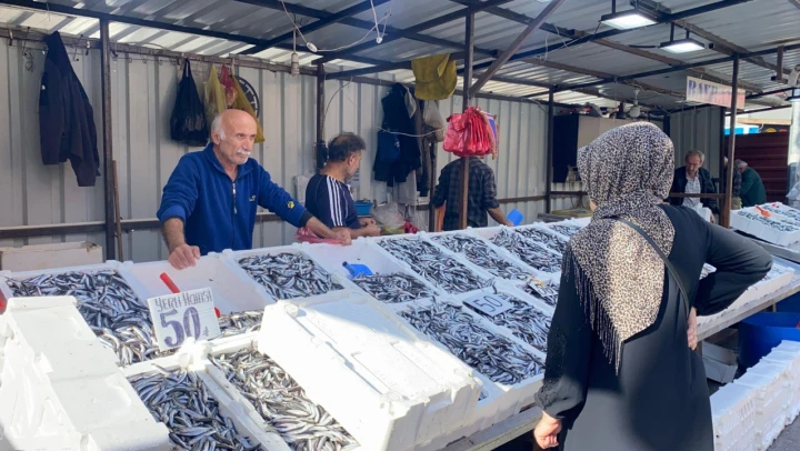 Yerli Hamsi Ucuzladı, Vatandaş Yoğun İlgi Gösterdi