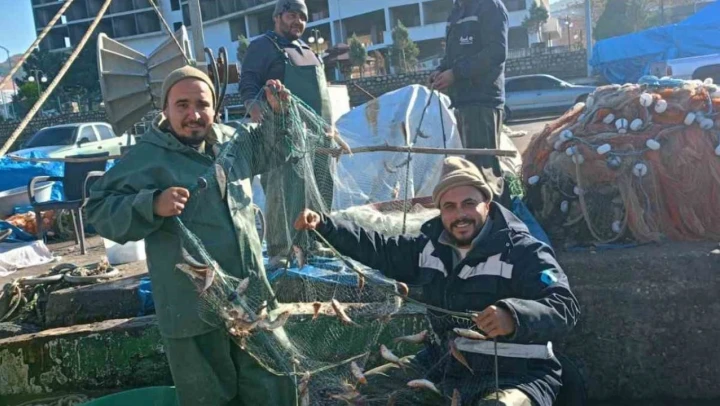 Zonguldak'ta Barbun Balığı Bereketi