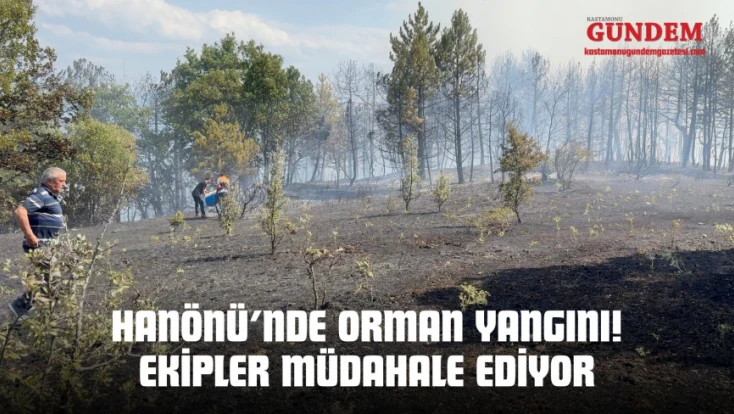 Hanönü’nde Orman Yangını! Ekipler Müdahale Ediyor