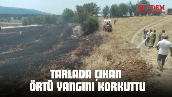 Kastamonu'da Tarlada Çıkan Örtü Yangını Korkuttu