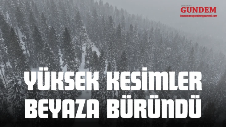 Kastamonu'da Yoğun Kar ve Sis: Ekipler Teyakkuzda