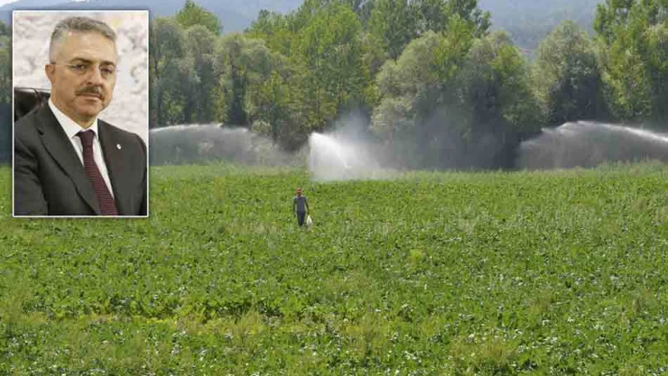 31 Bin 440 dekar arazi suya kavuşuyor