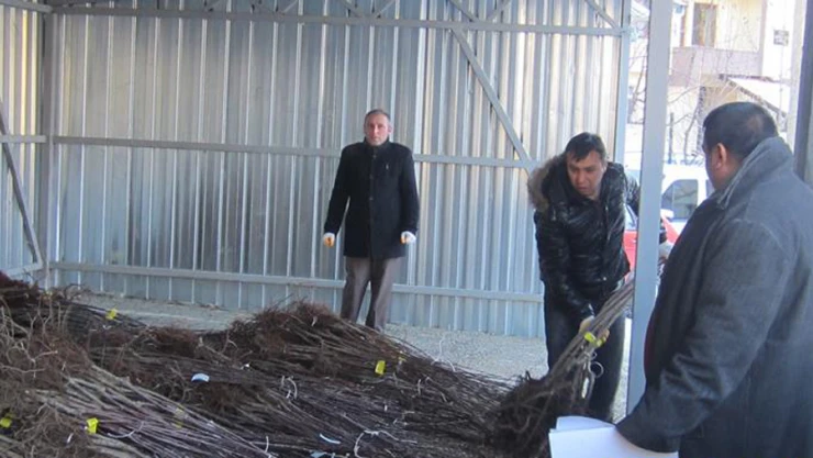 9 bin 670 meyve fidanı dağıtıldı