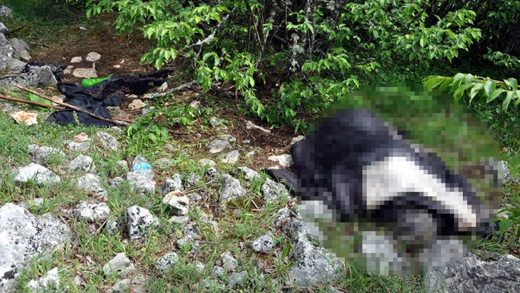 22 gün sonra ölü bulundu