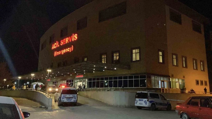 'Hayvan Otlatma' Kavgası Kanlı Bitti: Komşusunu Öldürüp İntihar Etti