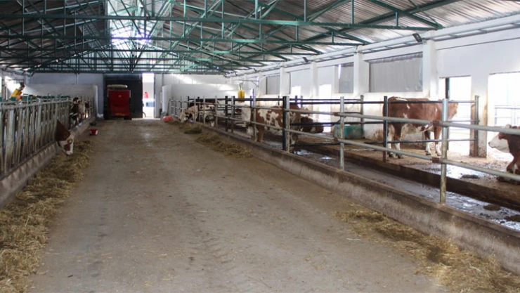 1 milyar 500 milyon TL'lik hibe başvuruları başladı