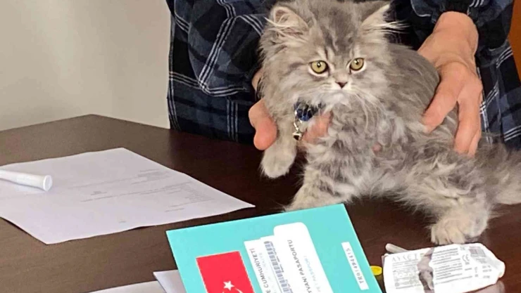 1 milyon 429 bin 370 evcil hayvan kayıt altına alındı