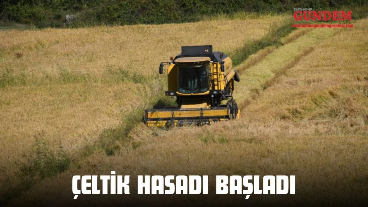 10 Bin Dekar Alanda Yetiştirilen Çeltiğin Hasadı Başladı