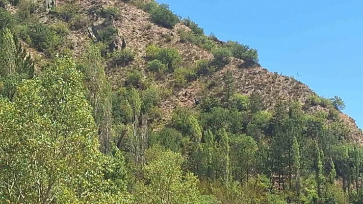 10 Gündür Kayıp Olarak Aranan Yaşlı Adam Ölü Bulundu