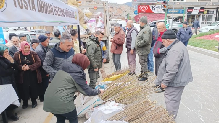 15 Bin Adet Fidan Dağıtıldı