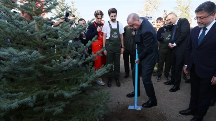 15 Milyon Fidan Toprakla Buluştu