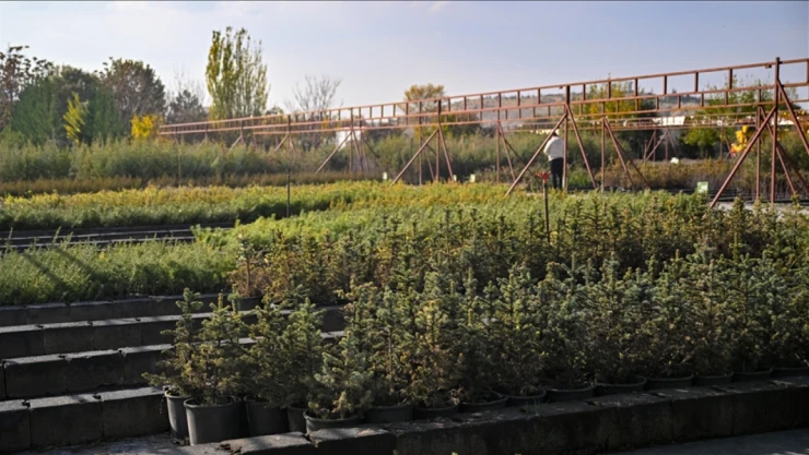 15 Milyon Fidanın Sahiplenilmesi Hedefleniyor