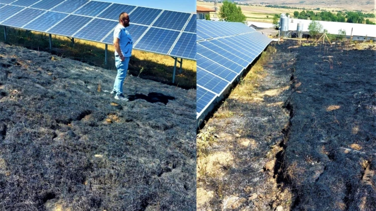 20 dönüm ekili arazi küle döndü