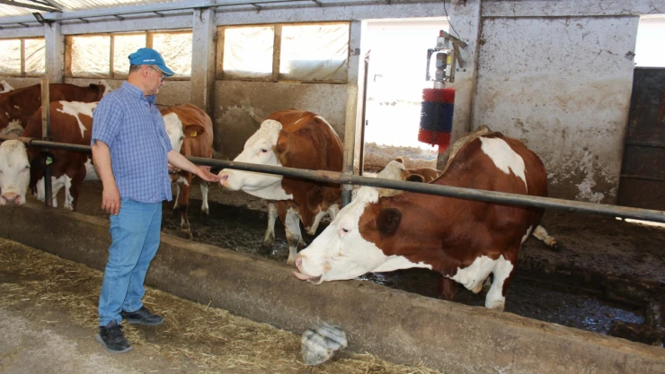 2016 Yılından Beri Süt Üretimine Devam Ediyor