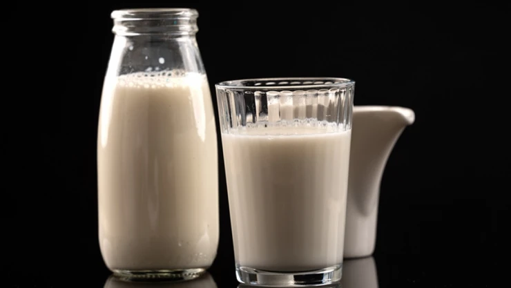 22,5 Milyon Ton Çiğ Süt Üretildi