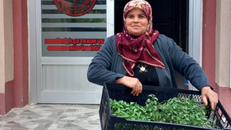 25 Bin Fide Dağıtıldı